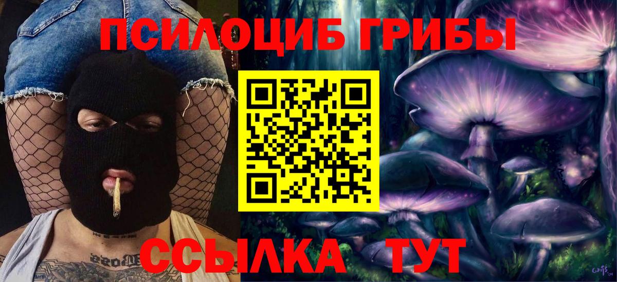 Ноябрьск  Галлюциногенные грибы мицелий  наркотики  Псилоцибиновые грибы прущие грибы  Вход с VPN 